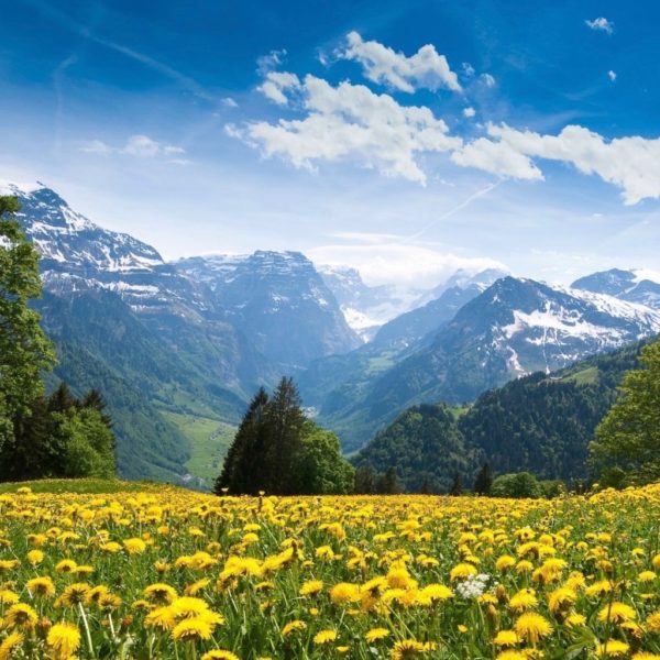 Les montagnes Suisses, source d'inspiration pour la collection MOUNTAIN