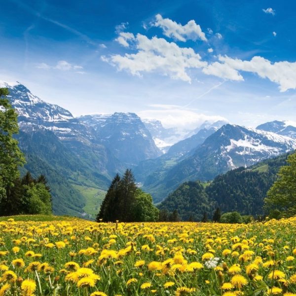 Die Schweizer Berge, Inspirationsquelle für die Kollektion Mountain...